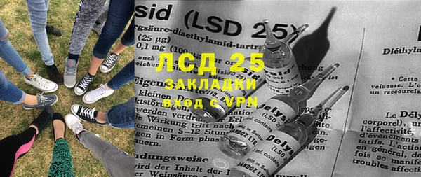 ПСИЛОЦИБИНОВЫЕ ГРИБЫ Аркадак