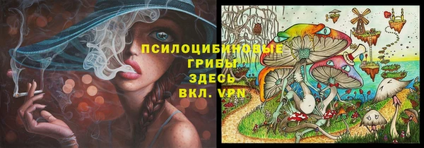 ПСИЛОЦИБИНОВЫЕ ГРИБЫ Аркадак