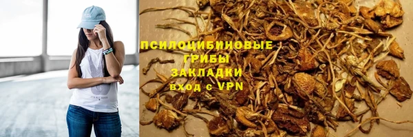 ПСИЛОЦИБИНОВЫЕ ГРИБЫ Аркадак