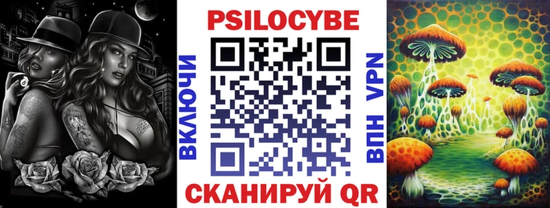 цены   Подпорожье  Галлюциногенные грибы Psilocybine cubensis 